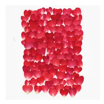 100buc 1cm Forma de Inima Presat de Trandafir Uscate Petale de Flori Pentru Bijuterii Marcaj Rama Foto Telefon Caz Poștală a Face